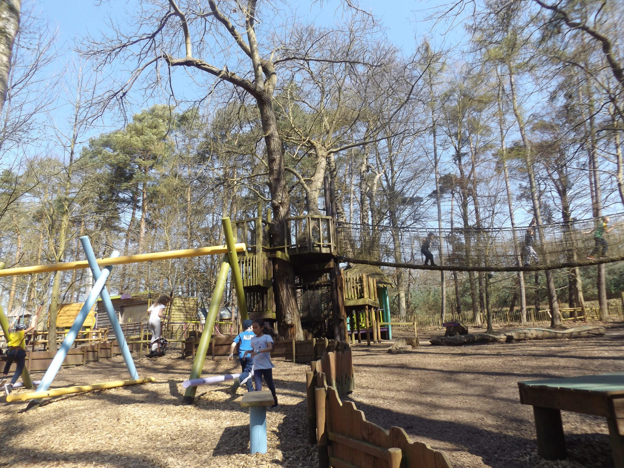 bewilderwood 1